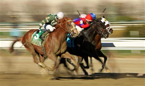 Best Online Horse Racing and Sports Betting .